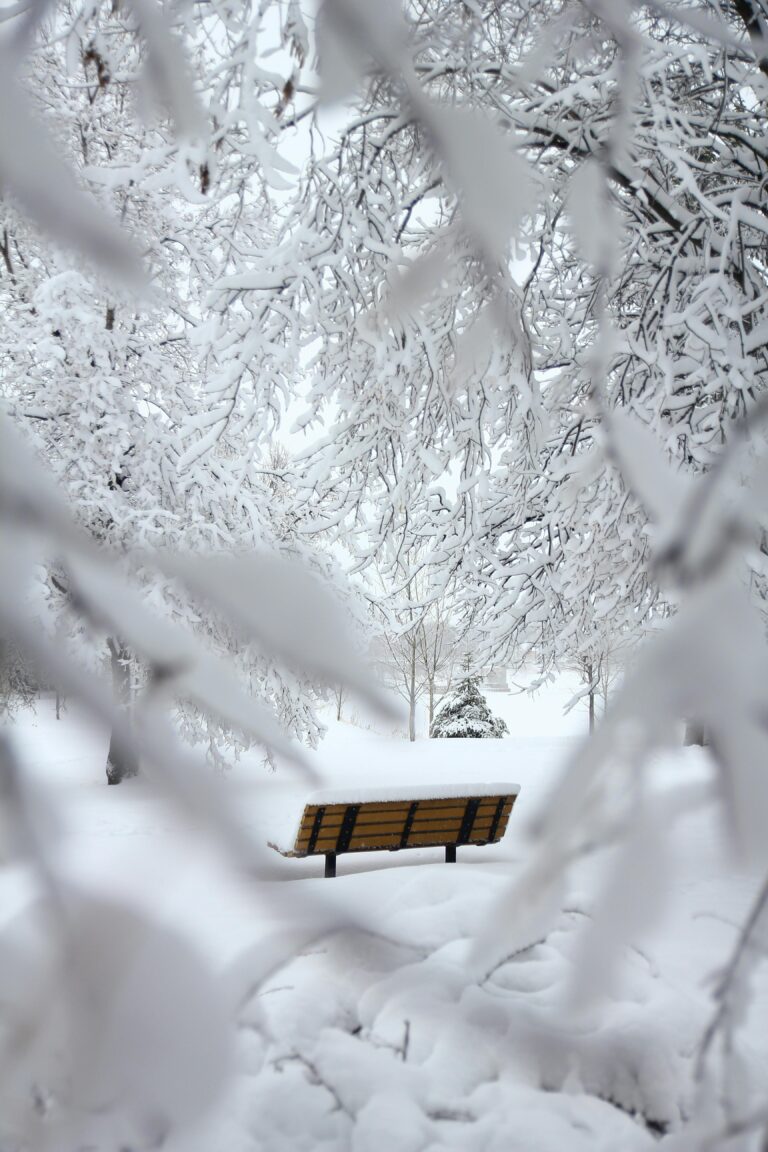 Will Philadelphia See Bad Winter Weather In 2025?